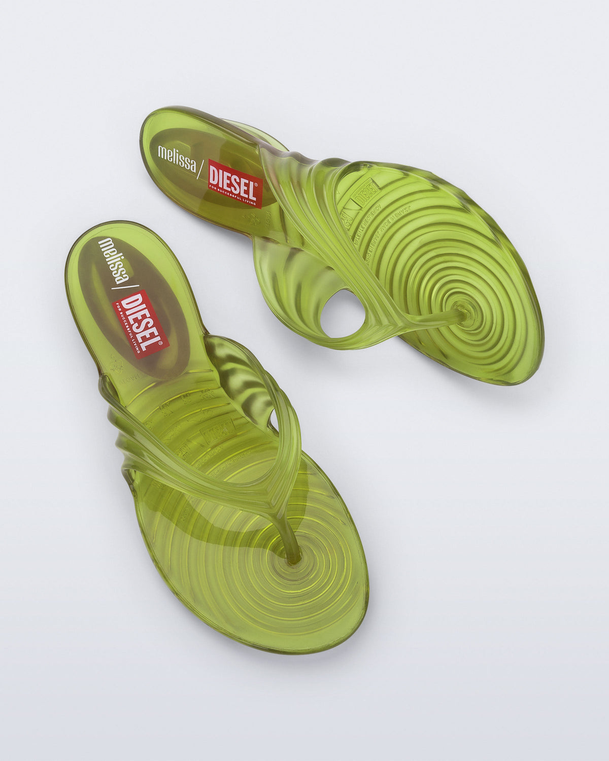 Quantum Flip Flop