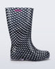 Welly