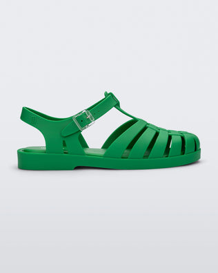 Product element, title Possession in Green
 price €69,00